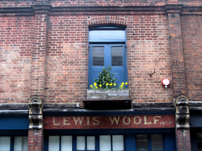 lewis woolf