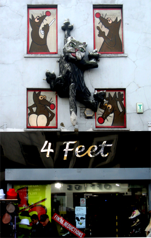 camden shop