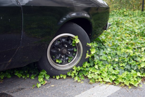 Antwerp, abandonned car with ivy