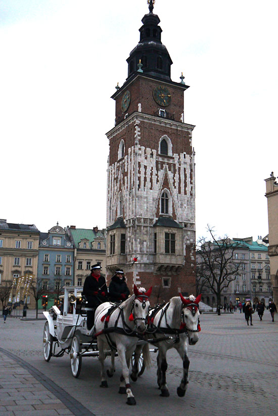 Krakow, horses on main market square
