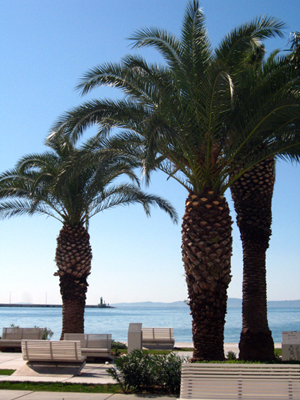 1_croatie_zadar.jpg