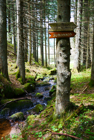 Schwarzwald, Forêt Noire, Black Forest, Schonach