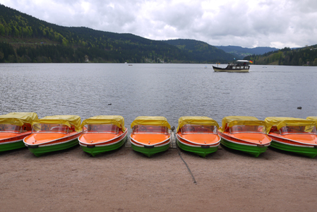Schwarzwald, Forêt Noire, Black Forest, Titisee