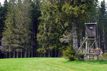 Schwarzwald, Forêt Noire, Black Forest, Schonach