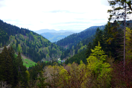 Schwarzwald, Forêt Noire, Black Forest, Schonach