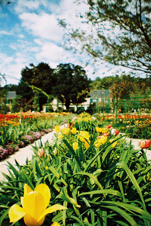 Jardins de Claude Monet, Giverny