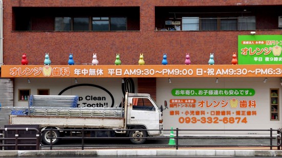 Mojiko, animal hoppers in street