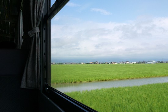 Paddy field through train windon on the way to Shimabara