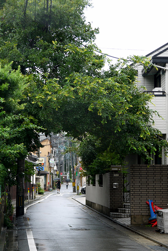 Fukuoka, street with trees in Kego