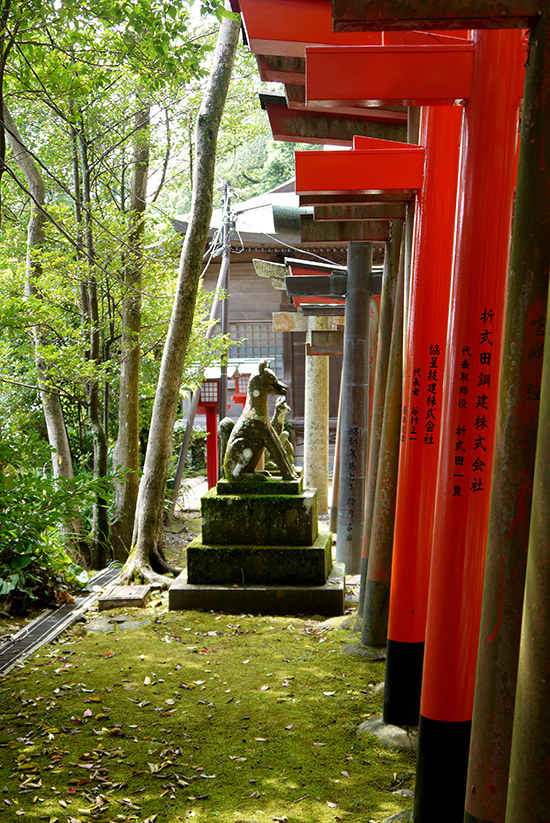Nagasaki, dog statue at Suwa shrine