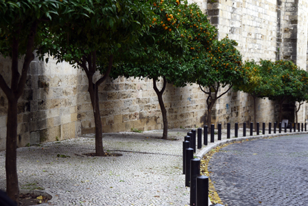 Lisbon