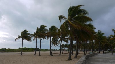 Miami, South Beach, Palm trees