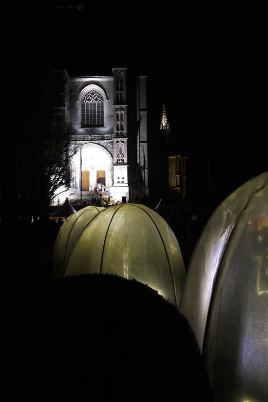Mons 2015, Surround à la collégiale