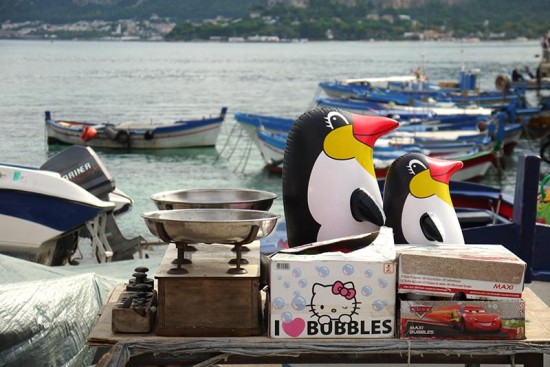 Palermo, penguins at Mondello